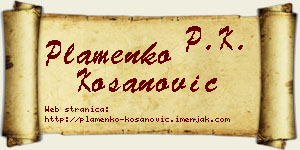 Plamenko Kosanović vizit kartica